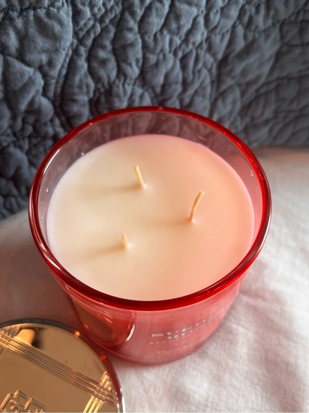 HomeWorx Sueded Rose 3 Wick Candle 14 oz Sun Rose Black Currant BRAND NEW